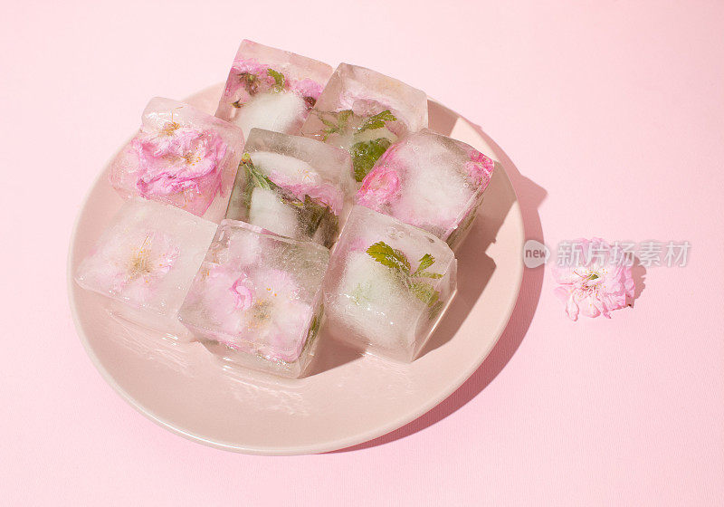 Beautiful small pink flowers in ice cubes on pink plate on pink background, top view